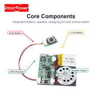 Module de lecteur de disques magnétiques téléchargeable par USB, carte son audio, lecteur de musique, solution PCBA pour boîte cadeau, carte DIY personnalisée
