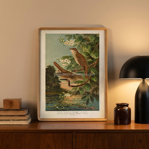 Décoration personnalisée, tableaux encadrés, impressions d'art floral, nature morte, cadre en bois, <span class=keywords><strong>peinture</strong></span> sur <span class=keywords><strong>toile</strong></span>, peintures de natures mortes - Product Image 1