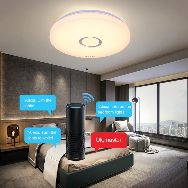 New Product Decorative Simple Wifi Control Smart Intelligent Indoor Living Room Rgb Modern Ceiling Light