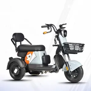 Prix de gros pour la maison Nouveau tricycle électrique Petit scooter électrique à 3 roues Pick up pour enfants Voiture à batterie extérieure pour femmes âgées 48V 500W
