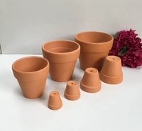 Pots de plantes succulentes 2 pouces Mini Pots en terre cuite jardinière rouge en argile avec trou de Drainage Mini Pots en argile
