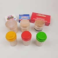 Distributeur de cure-dents jetables écologiques en bois de bouleau à double pointe, certifié EVERYDAY, facile à transporter, pour le nettoyage des dents