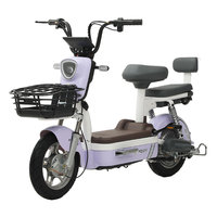 Bicicletas Eléctricas Urbanas para Mujer de 26 Pulgadas con Canasta, Nueva Llegada en Oferta