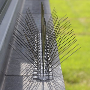 Factory Pest Control Birds Abschreckende Kunststoff basis Edelstahl Thorn <span class=keywords><strong>Anti</strong></span> Bird <span class=keywords><strong>Roosting</strong></span> <span class=keywords><strong>Spikes</strong></span> für Tauben - Product Image 5