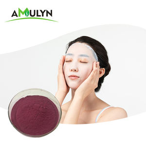 Bubuk Buah <span class=keywords><strong>Acai</strong></span> Berry Kering Beku Alami Brazil Bubuk Kering - Product Image 6