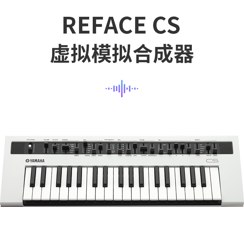 CS