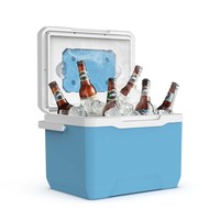 Ensemble de glacières personnalisables avec votre logo, kit promotionnel d'extérieur pour cadeaux d'entreprise