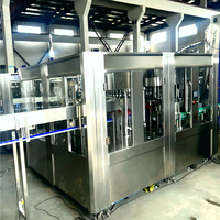 Volautomatische Sap Wijn & Bier Productielijn 3-In-1 Efficiënt Ontwerp Schone Gmp Standaard Ondersteunt Etiketteermachines