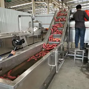 Aardappel Wortel Radijs Wassen Peeling Machine Olijven Zoete Aardappel Cassave Wassen Verwerking Lijn