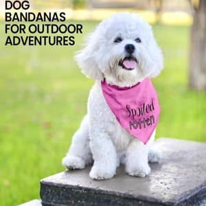 Bandana pour chien ajustable unisexe, mouchoir triangle, bavoir jaune imprimé «Born Run», accessoire de vêtements pour animaux de compagnie lavable et mignon - Product Image 4