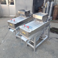 Prix d'usine, vente chaude : Machine à peler les cacahuètes grillées et séchées en acier inoxydable pour le traitement des noix