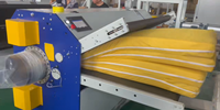 Machine d'emballage à rouleaux à une touche avec roulement et moteur pour canapés à coussins épais 380V, performance non affectée