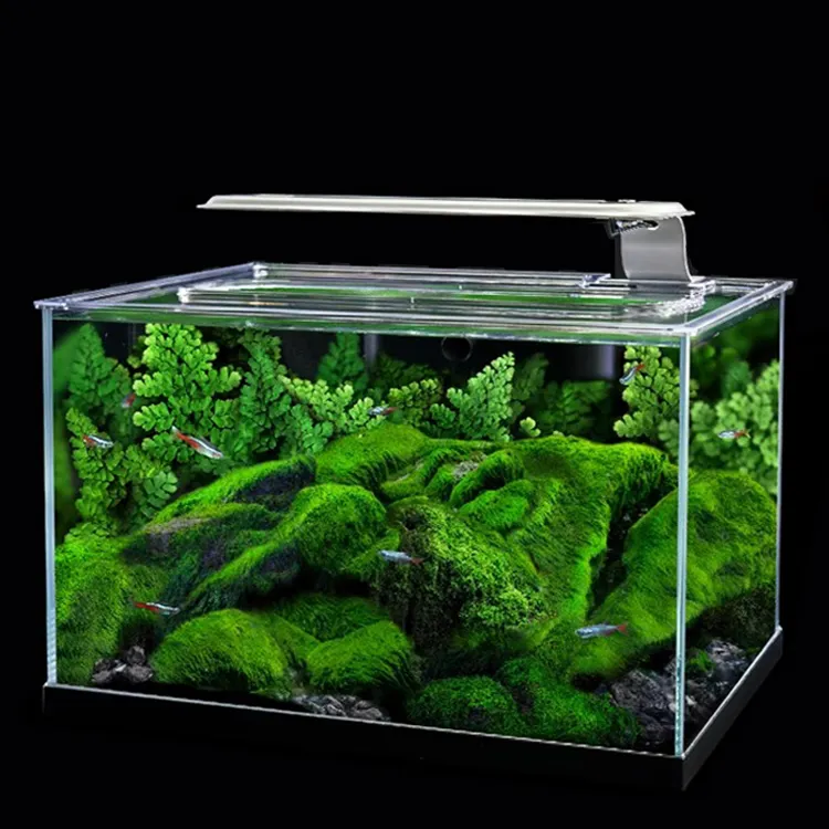 Table basse de mode de haute qualité aquarium de réservoir de poissons en verre accessoires légers de luxe réservoirs d'aquarium de poissons
