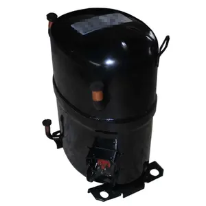 2020 Hot sale Bristol hermetic 18000 btu Piston Compressor