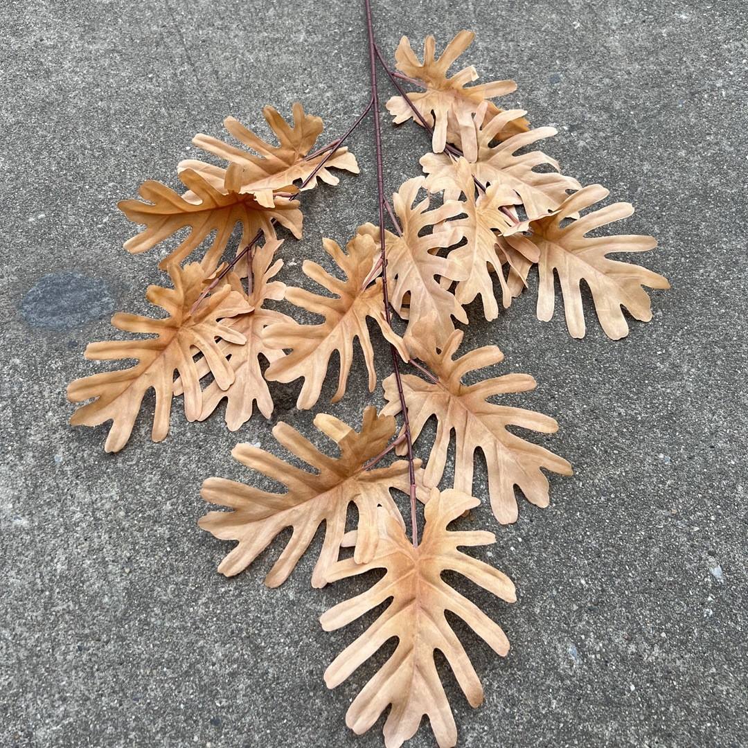Feuilles de plumes jaunes