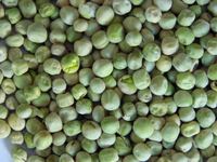 Séchage à l'air Pois verts déshydratés Haricots Légumes déshydratés Prix moins cher