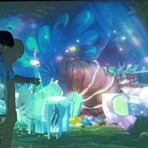 Prodotto di Punta Defi: Pittura Interattiva 3D AR con Proiezione, Graffiti su Parete, Acquario, Foresta, Disegno per Bambini, 3 Giochi - Product Image 4