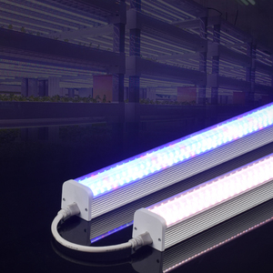Flor de <span class=keywords><strong>uva</strong></span> Agricultura Fruta de fresa Se puede vincular en serie Flor Suculentas T12 Accesorio Full Spectrum Led Grow Light - Product Image 5