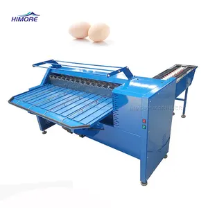 Egg Classifier Machine Egg Weight Grade Machine Small Egg Grader Machine