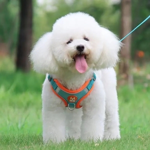 Harnais pour chien réfléchissant pour animaux de compagnie petit chien réglable chiot harnais gilet chien Teddy <span class=keywords><strong>Koki</strong></span> extérieur marche laisse laisse chat sangle de poitrine - Product Image 6