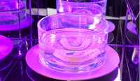 Machine de polymérisation pour imprimante 3D - Boîte de polymérisation LED UV, four à nivellement automatique, volume d'impression 300x240mm, nouvelle garantie 1 an, semi-automatique 365nm