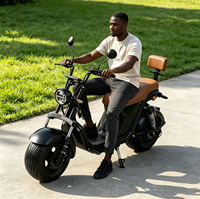 Trottinette Électrique 1000W en Gros, Batterie Lithium, Trottinette Électrique Intelligente à Deux Roues, Deux Places, Charge 200KG, Mobilité Urbaine pour Adultes
