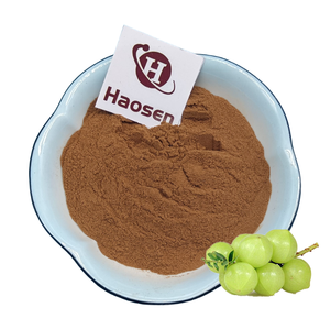 도매 가격 Phyllanthus 엠블리카/<span class=keywords><strong>Amla</strong></span> 추출물 10:1 20:1 Phyllanthus 아마 추출물 분말 - Product Image 1