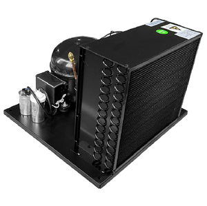 Chất lượng cao Thương hiệu Mới Tủ lạnh nhỏ biển lạnh và đóng băng đơn vị ngưng tụ với các thành phần cốt lõi động cơ và động cơ - Product Image 1