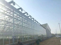 Système hydroponique de grande envergure, serre en verre multi-voûtes pour ferme commerciale