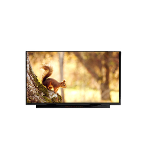 Écran LCD d'origine neuf NT125WHM-N42 pour ordinateur portable, vente en gros, 12,5 pouces, 1366RGB*768 WXGA, 125PPI, HB125WX1-100 - Product Image 3