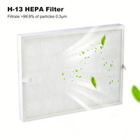 Poste de travail stérile à flux laminaire de bureau avec filtre HEPA Nnit H13 pour culture de champignons et de tissus