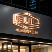 Enseigne lumineuse en acier inoxydable et lettres, éclairage LED 3D rétroéclairé or et argent, pour extérieur et intérieur