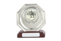 Plaques professionnelles à Sublimation personnalisées, 100 pièces, Plaques métalliques, Souvenir, récompense