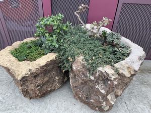 Anciens bacs en pierre pour jardin, pots à fleurs en pierre anciens - Product Image 4