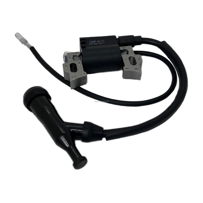Black Spark Coil 2KW 3KW 168F