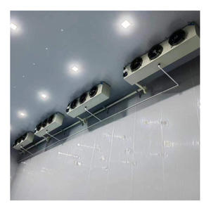 Chambre froide mobile, <span class=keywords><strong>conteneur</strong></span> <span class=keywords><strong>frigorifique</strong></span> de 40 <span class=keywords><strong>pieds</strong></span>, <span class=keywords><strong>conteneur</strong></span> <span class=keywords><strong>frigorifique</strong></span> de <span class=keywords><strong>10</strong></span> <span class=keywords><strong>pieds</strong></span> pour pattes de crabe surgelées - Product Image 4