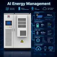 Sistema di Energia Solare Rinnovabile Inedge Power OEM per Microgrid, 50kW 100kWh/215kWh BESS Container, Accumulo Energetico Industriale e Commerciale