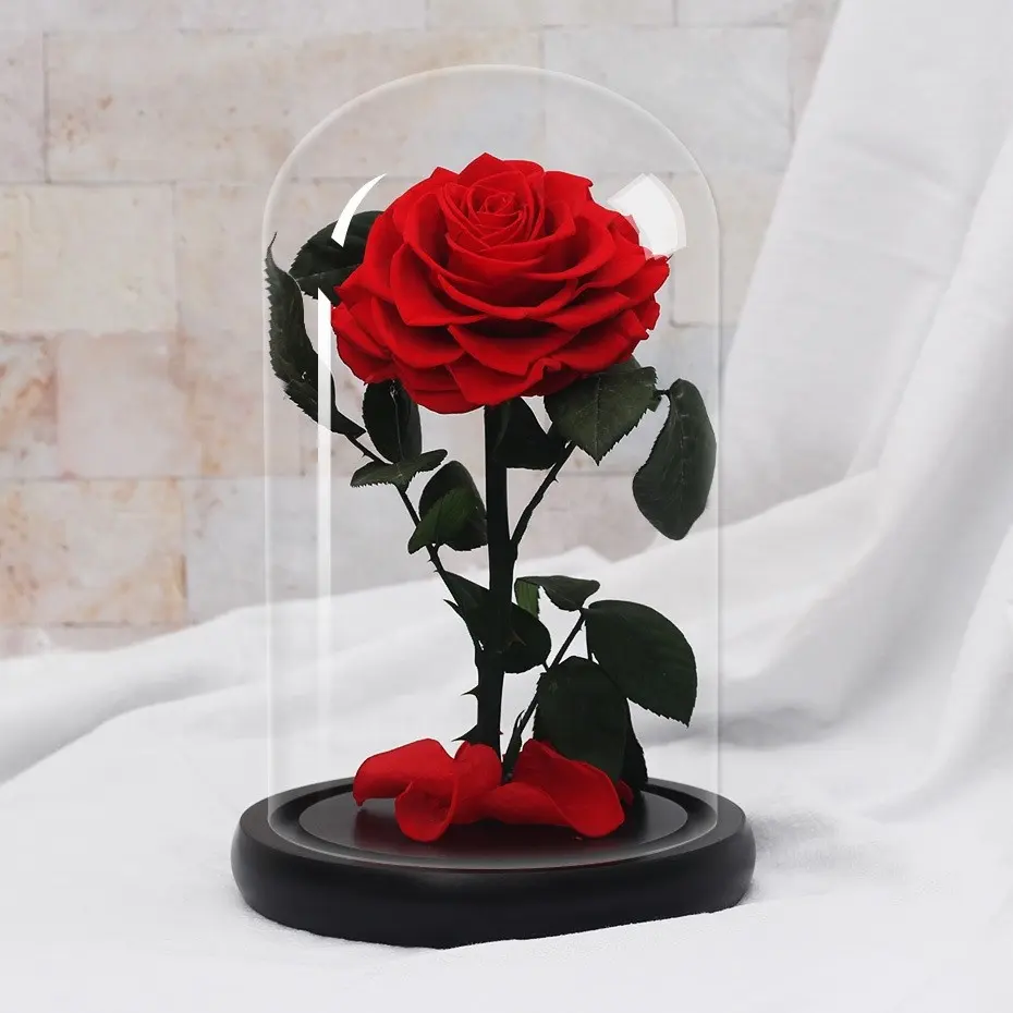 Rosa preservada del <span class=keywords><strong>príncipe</strong></span> en la cúpula de cristal, regalo artesanal y regalo de San Valentín, 8,8 dollar/unids, precio al por mayor