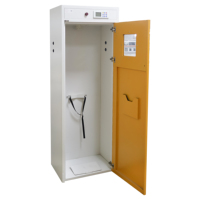 Armoire de laboratoire intelligente tout acier pour bouteilles de gaz avec alarme, sécurité acétylène hydrogène, anti-explosion, verrouillage à clé