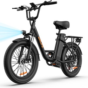Vélo de ville électrique E20 avec moteur arrière sans balais, batterie au lithium 48V, 7 vitesses, pneus larges de 20 pouces, haute puissance, disponible en OEM/ODM - Product Image 3