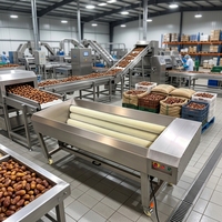 Multifunctionele Palm Dadel Borstel Polijst Reinigingsmachine Automatische Industriële Dadel Jujube Droge Polijst Reinigingsmachine