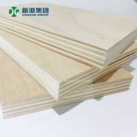 Contrachapado de Abedul Estructural de Alta Resistencia, Tablero de Madera Impermeable con Pegamento WBP para Uso Industrial