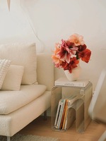 Table basse simple en acier inoxydable pour canapé, avec rangement pour livres et magazines, décoration d'appartement, meubles de restaurant