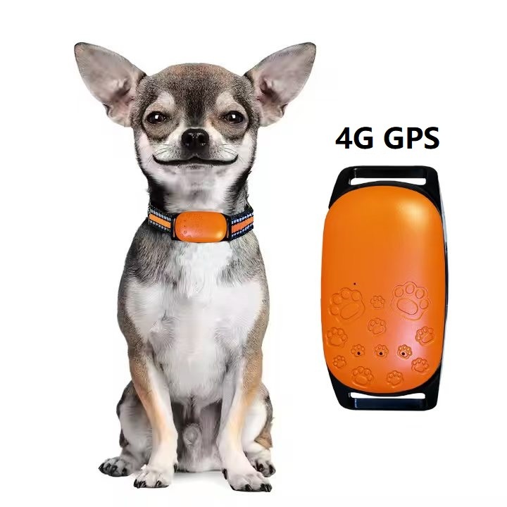 Pets Gps Locator 4g Mini Tracking