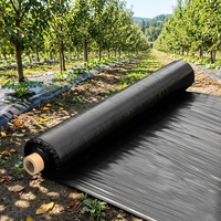 Film de paillage biodégradable perforé en rouleau de 1 à 8 m, moulé par soufflage, résistant aux UV et perméable à l'eau, pour l'agriculture maraîchère (vente en gros)