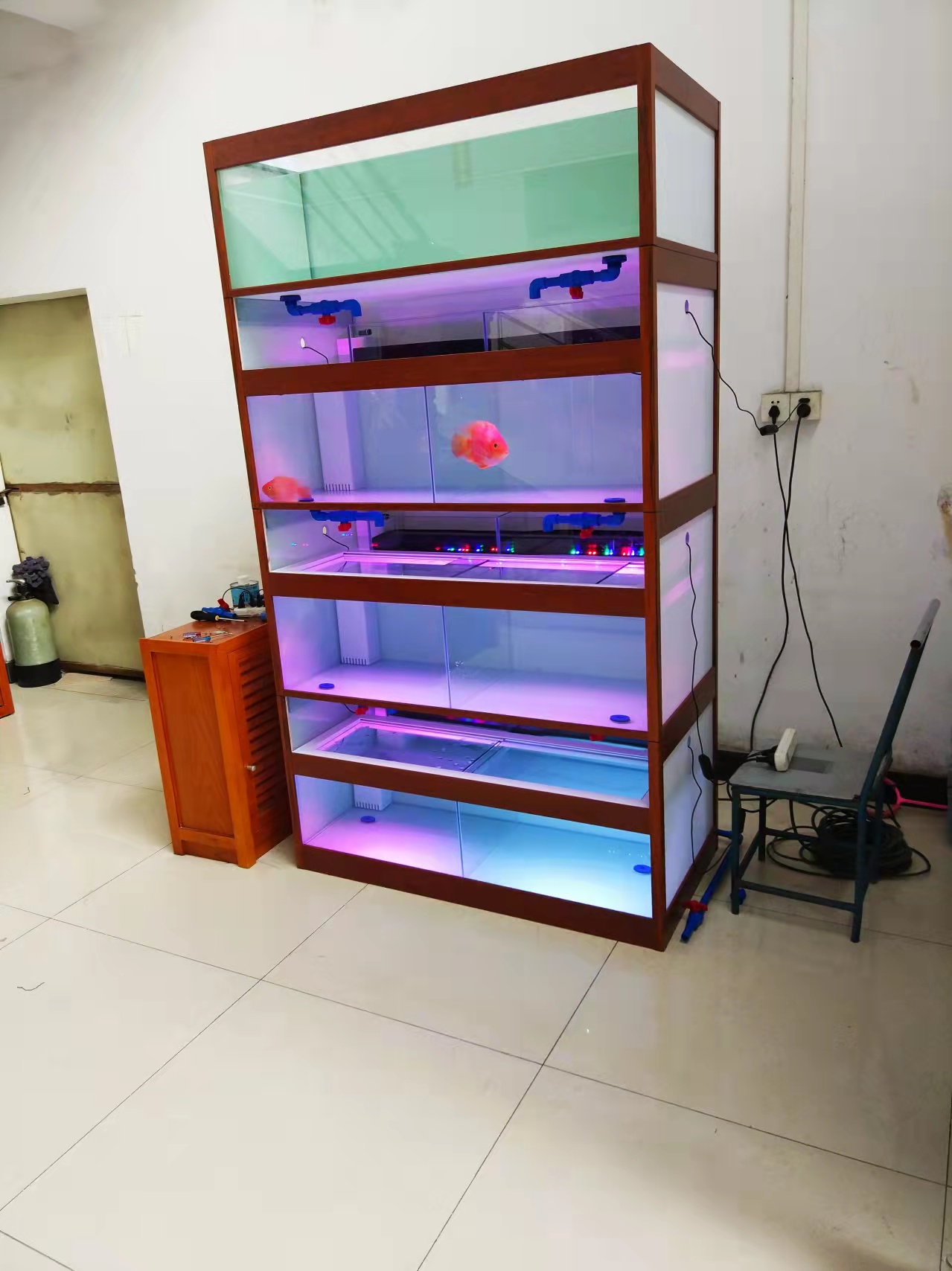 modular fish display tank for shop