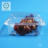 Conteneur à fruits en plastique PET jetable avec couvercle en dôme pour fruits