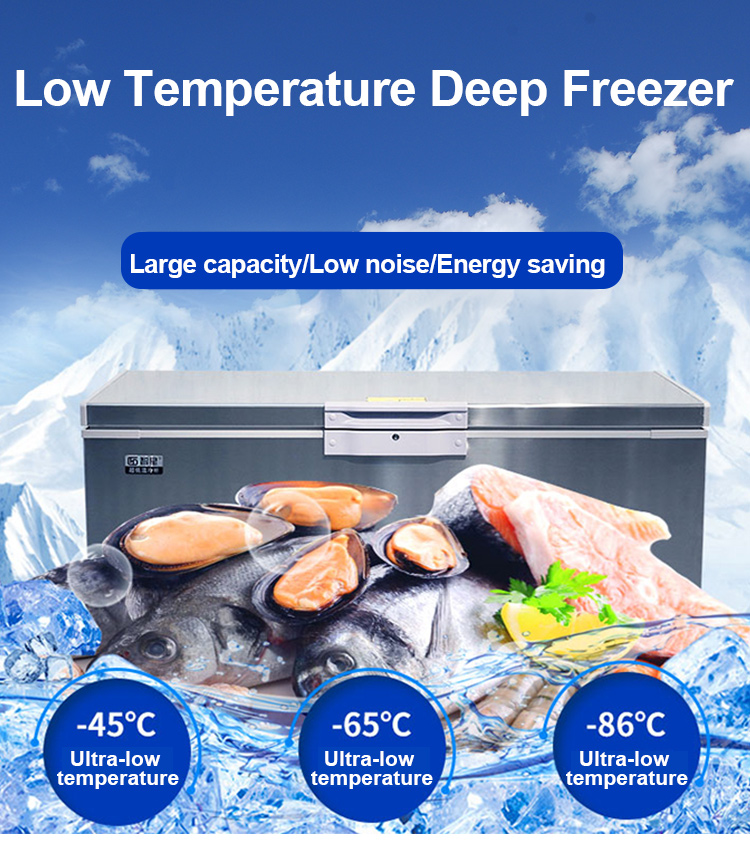 Ultra-Low Temperature Freezer -40 to -80°C, Stainless Steel, Ideal