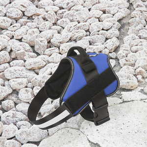 สายรัดอกสุนัขแบบปรับได้ ขายดี ผลิตจากไนลอน ระบายอากาศได้ดี สะท้อนแสง พร้อมแผ่นรองป้องกัน สำหรับกิจกรรมกลางแจ้ง ป้องกันการดึง แข็งแรง ทนทาน - Product Image 2