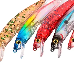  2 Pcs Rattle Lure Sections Fishing Baits Minnow Bait Flipping  Lures Saltwater Jigging Lures top Water baits Bionic Baits Saltwater Lures  Fish Shape Lures 16G Hook Bait carp : Sports